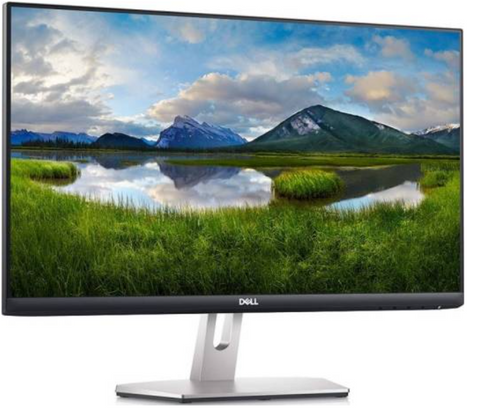 Dell S2421HN 24 Inch IPS Full HD LED Monitor No Limit with AMD FreeSync 75Hz, VESA | S2421HN