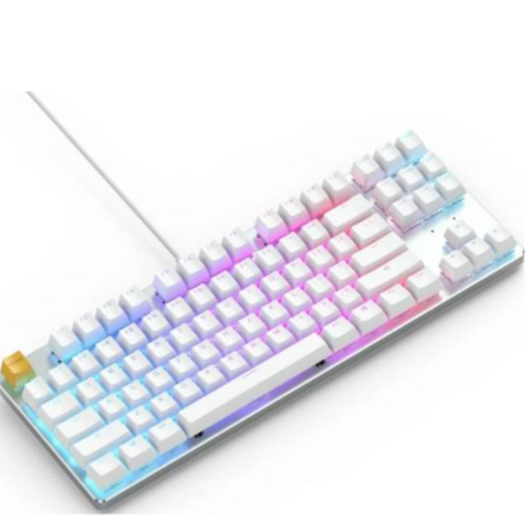 Glorious GMMK White Ice Edition TKL RGB Modular Mechanical Gaming Keyboard w/ Gateron Brown Switches White | GLO-GMMK-TKL-BRN-W