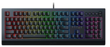 Razer Cynosa V2 Chroma Multi-Color Gaming Keyboard with Soft cushioned gaming-grade Keys | RZ03-03400100-R3M1