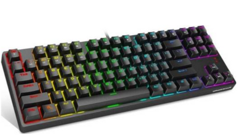 1st Player TKL RGB Gaming Mechanical USB Wired Keyboard DK5.0 LITE with Cherry MX Blue Switches Equivalent, Compact 87 Keys Tenkeyless LED RGB Backlit Keyboard PC Gamers | DK5.0-LITE-87KEYS